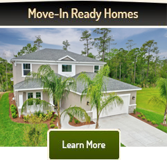 Move-In Ready Homes